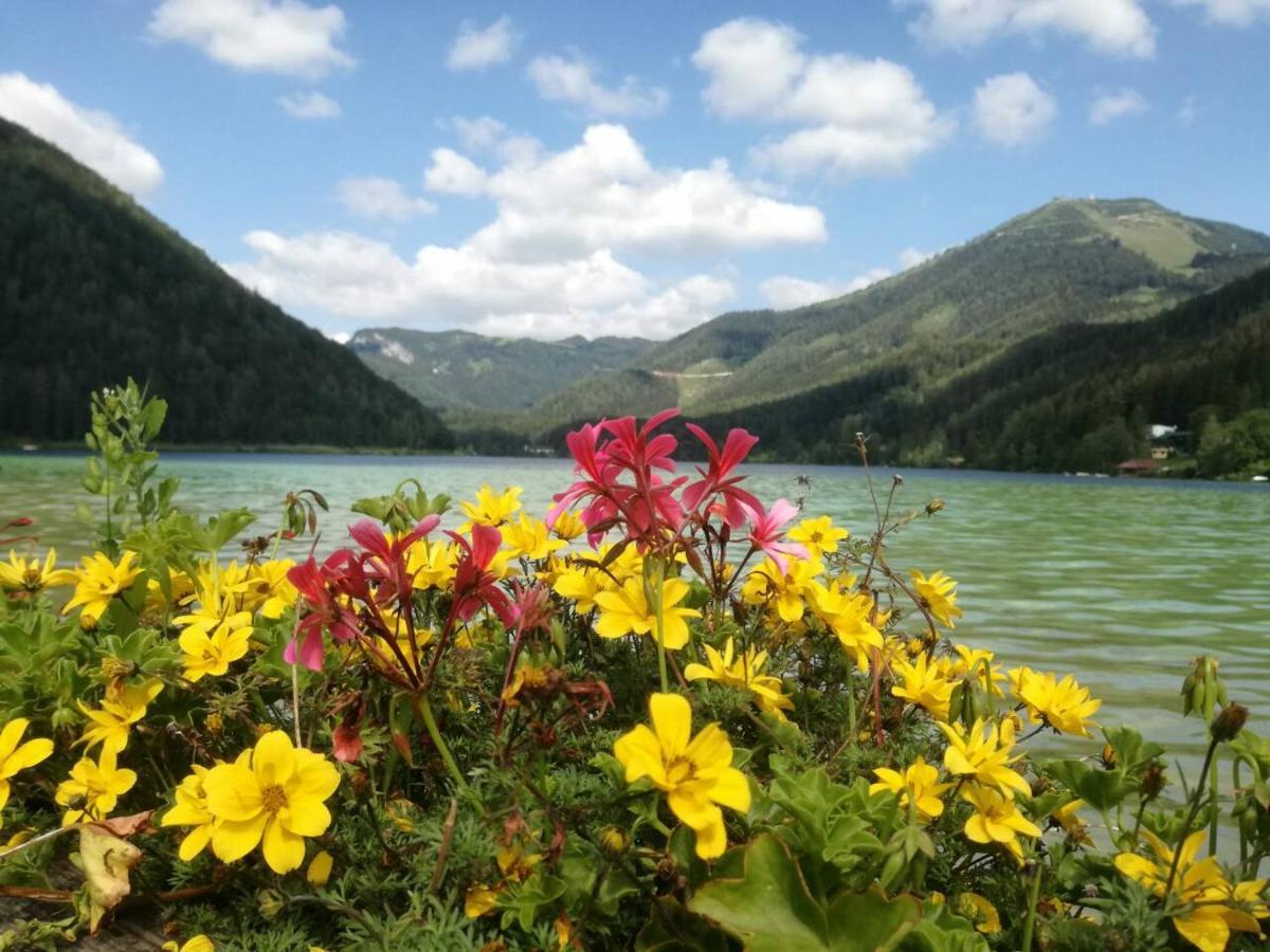 Apartment Mariazell Buergeralpe מראה חיצוני תמונה