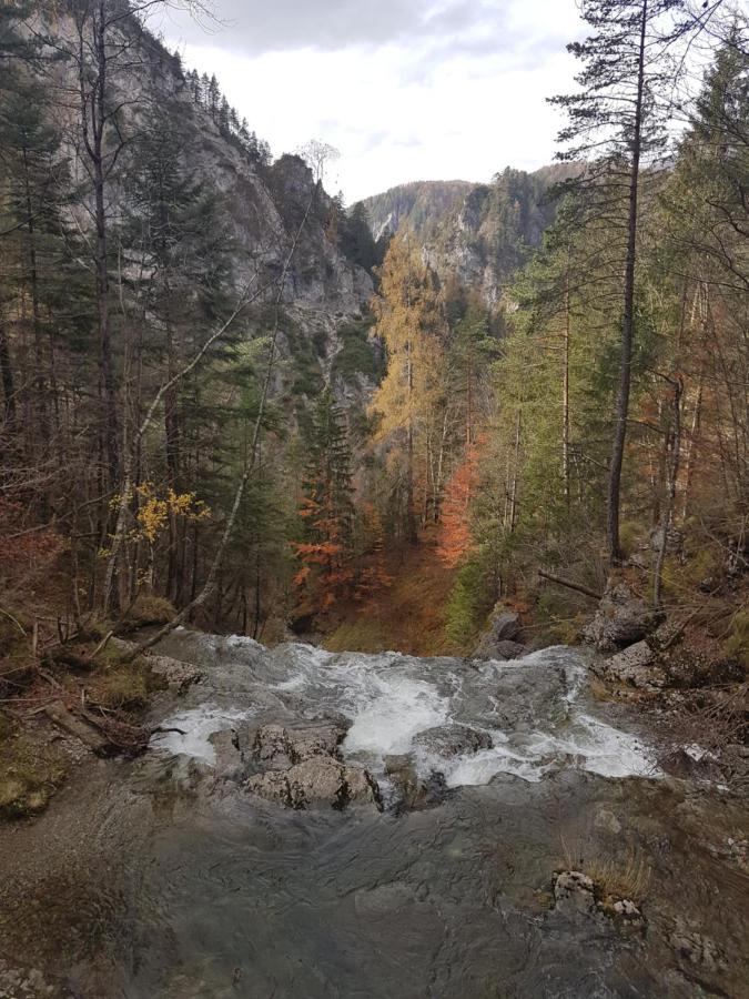 Apartment Mariazell Buergeralpe מראה חיצוני תמונה